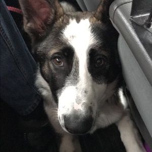 Meet your Posher, Crystal